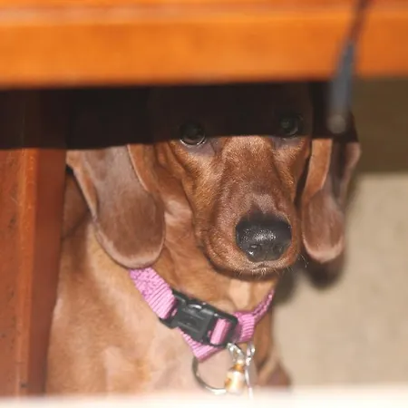 Eden Park Lido Silvana